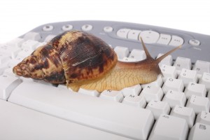 Snail on Keyboard